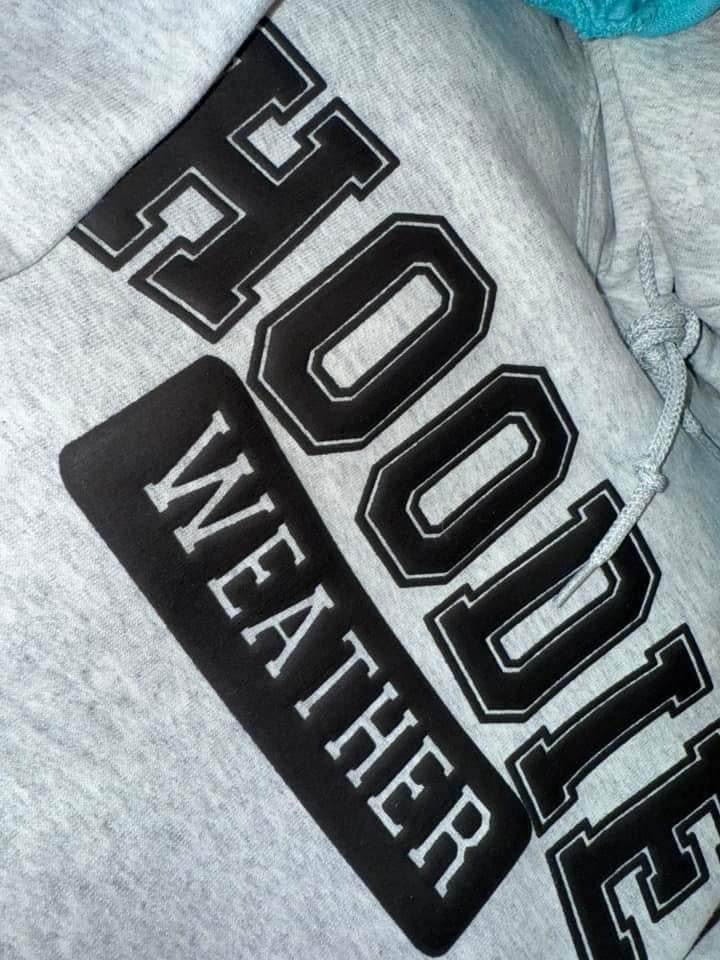 Hoodie Weather Puff Print Hoodie