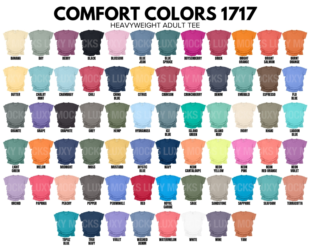 2 For $40.00 Comfort Colors Tee Shirt Bundle